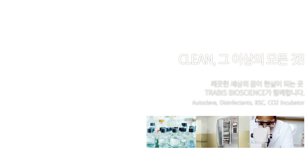 메인